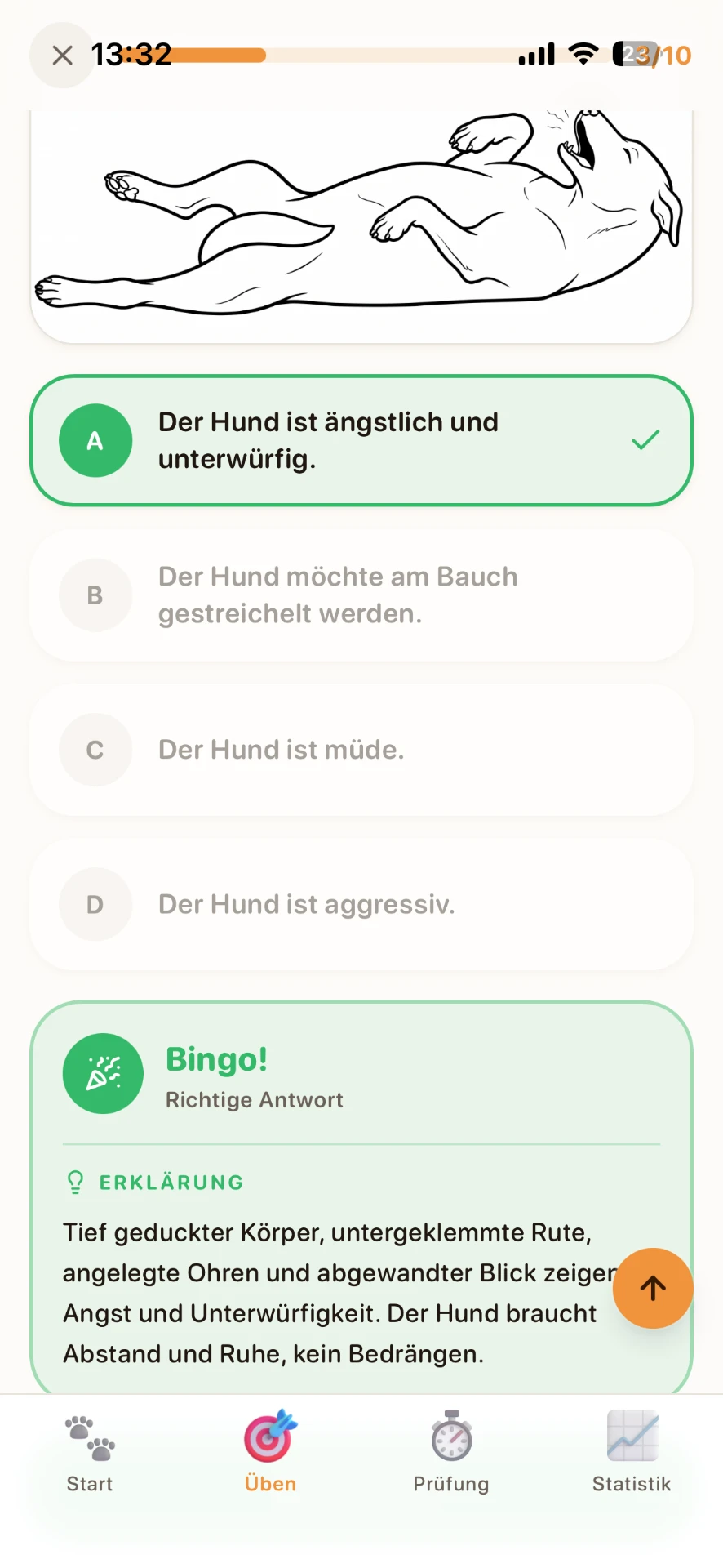 Richtige Antwort mit ausführlicher Erklärung zur ängstlichen Körpersprache des Hundes